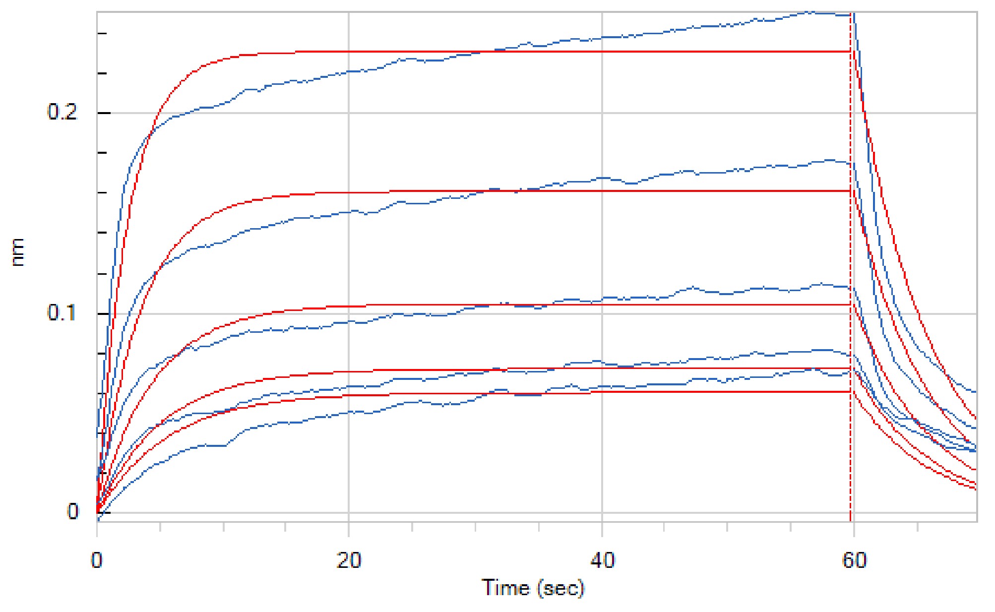 Human CD32a +BLI-1.jpg